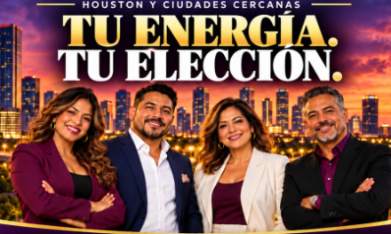 Servicio de Electricidad y Gas Natural
